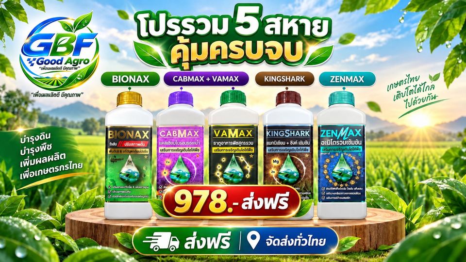 โปรรวม 5 สหาย คุ้มครบจบ — BIONAX, CABMAX, VAMAX, KINGSHARK, ZENMAX ราคา 978 บาท ส่งฟรีทั่วไทย