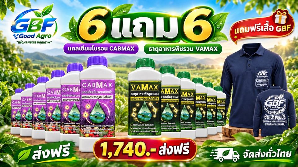 โปร 6 แถม 6 CABMAX แคลเซียมโบรอน และ VAMAX ธาตุอาหารพืชรวม ราคา 1,740 บาท ส่งฟรี แถมฟรีเสื้อ GBF