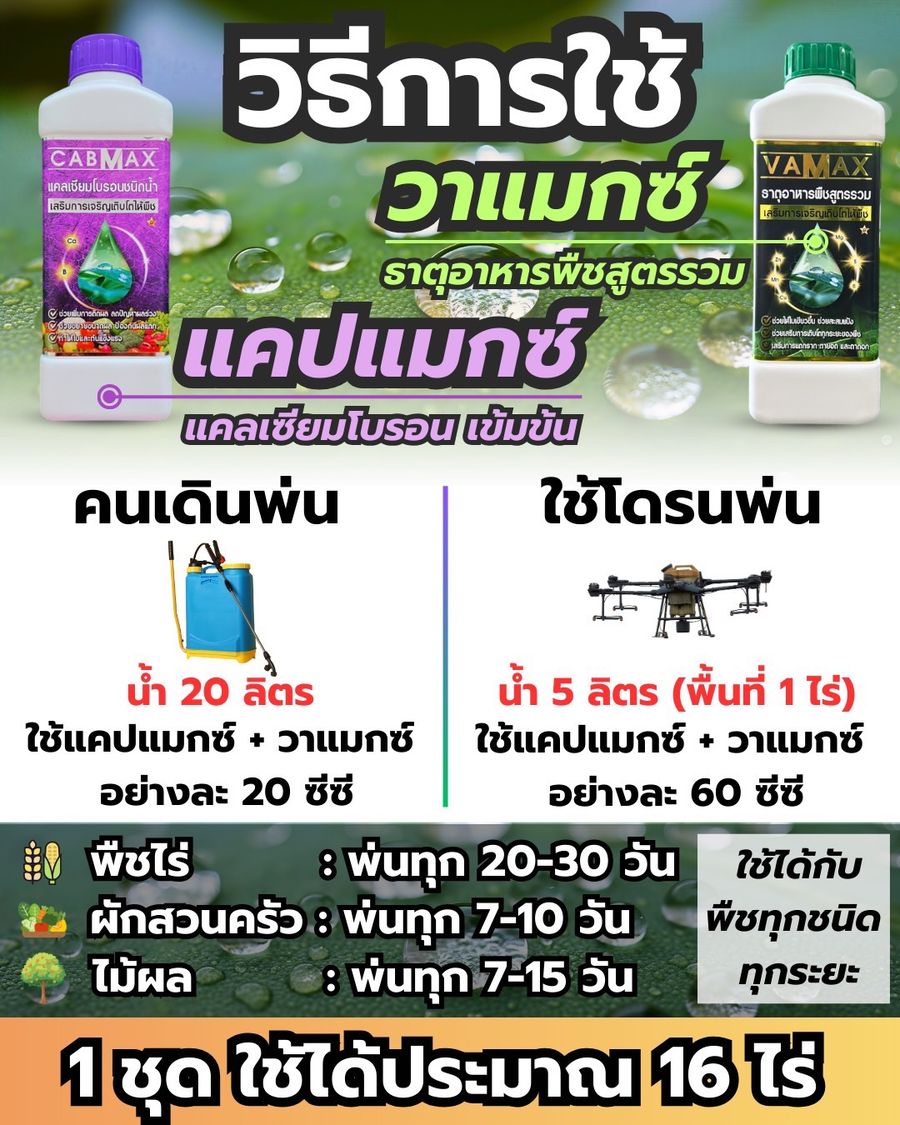 อินโฟกราฟิกวิธีการใช้ CABMAX อัตราผสมสำหรับคนเดินพ่นและโดรน