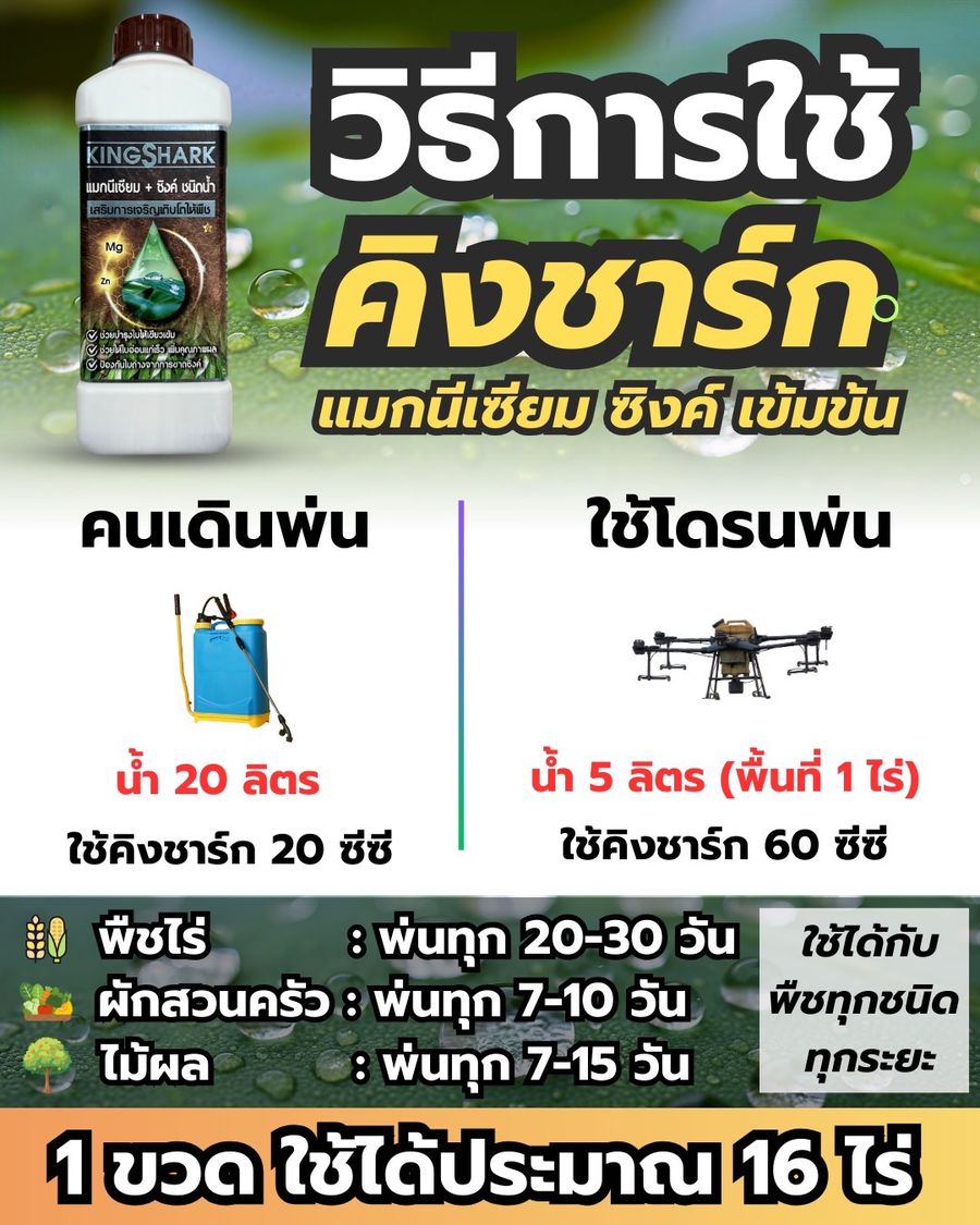อินโฟกราฟิกวิธีการใช้ KINGSHARK อัตราผสมสำหรับคนเดินพ่นและโดรน