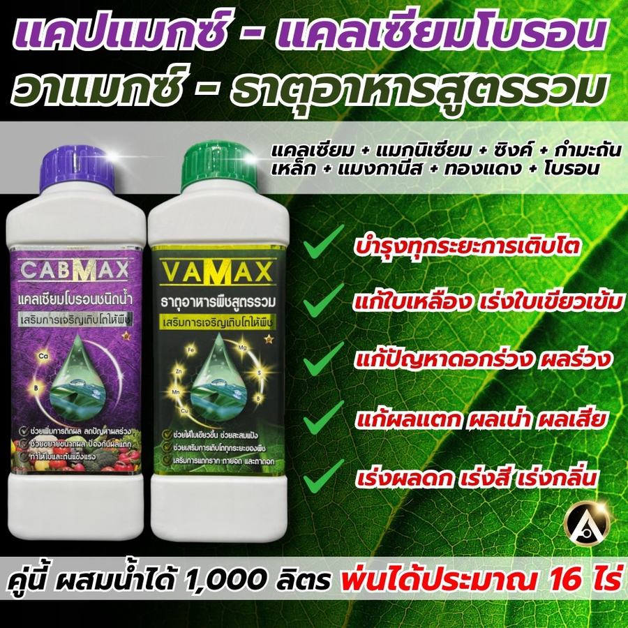 สรุปจุดเด่นของ CABMAX