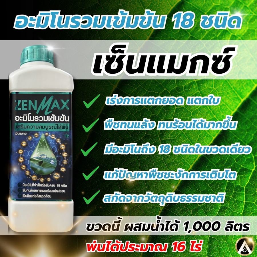 สรุปจุดเด่นของ ZENMAX